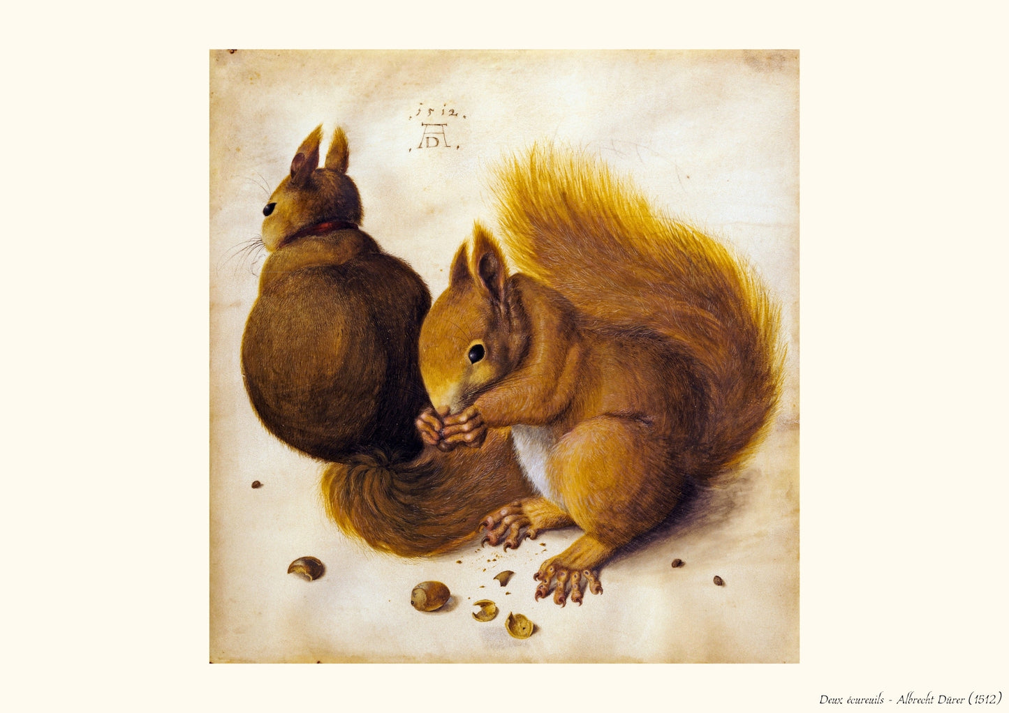 Deux écureuils