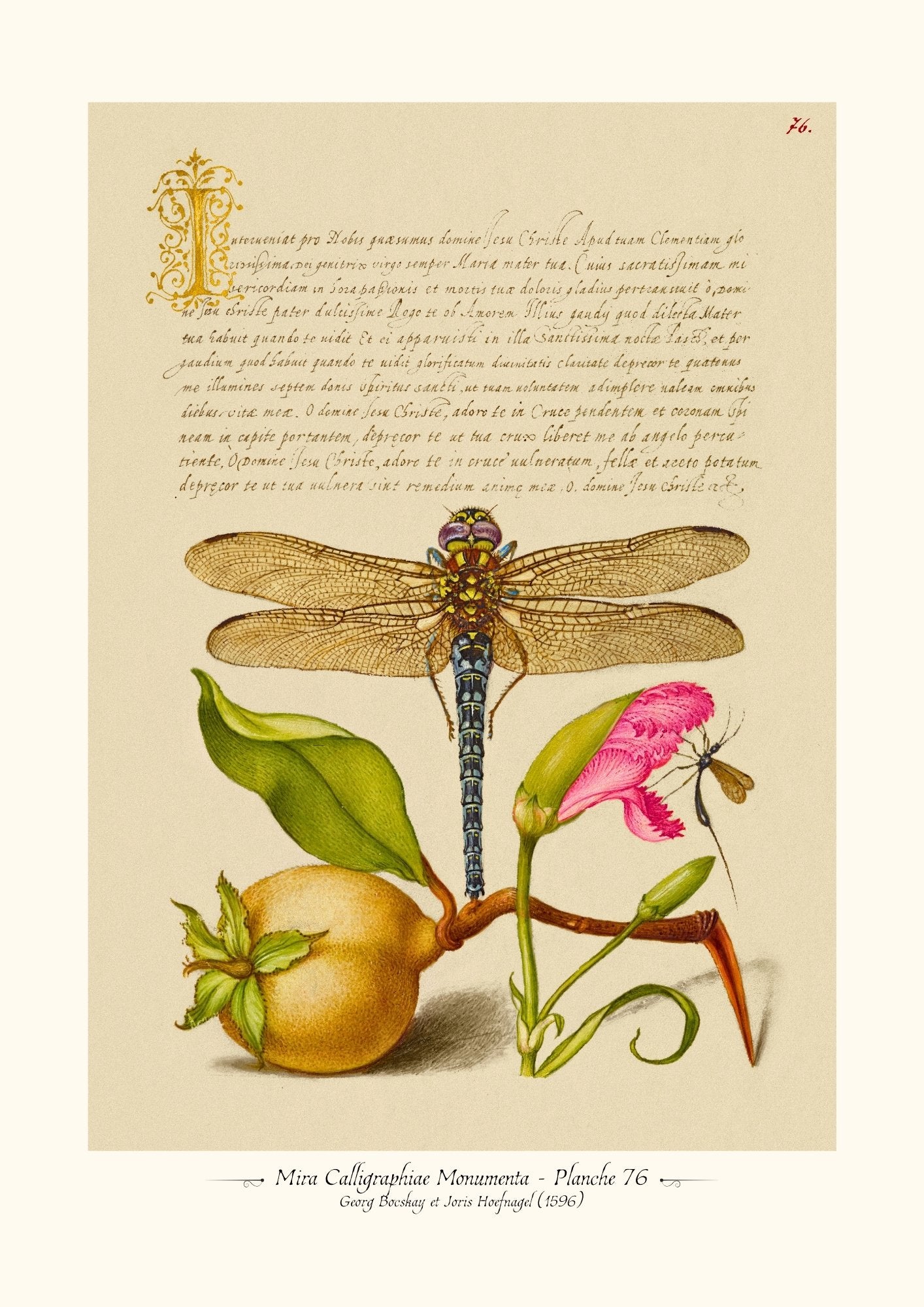 Mira Calligraphiae Monumenta - Planche 76