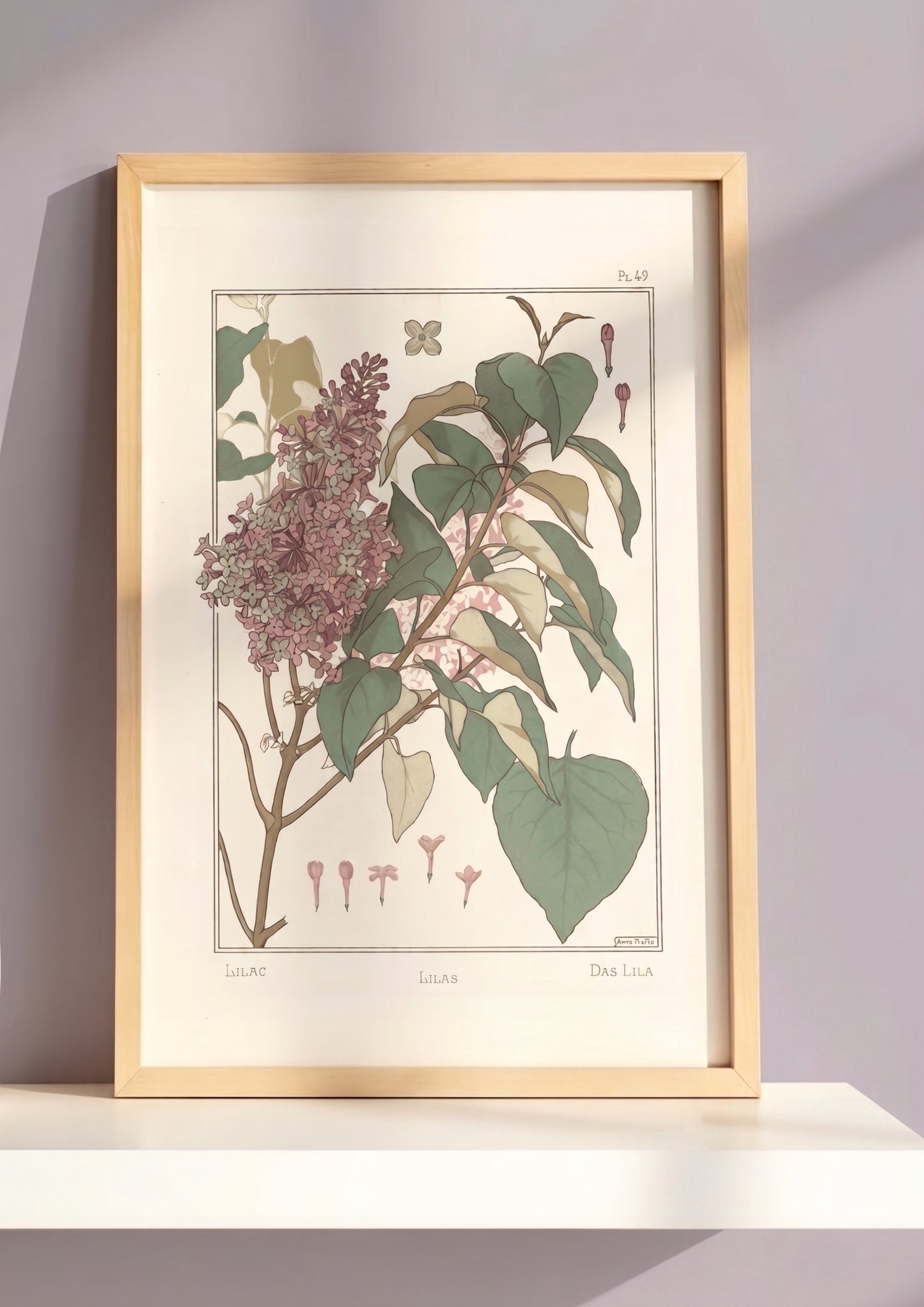 Lilas (Anna Martin)