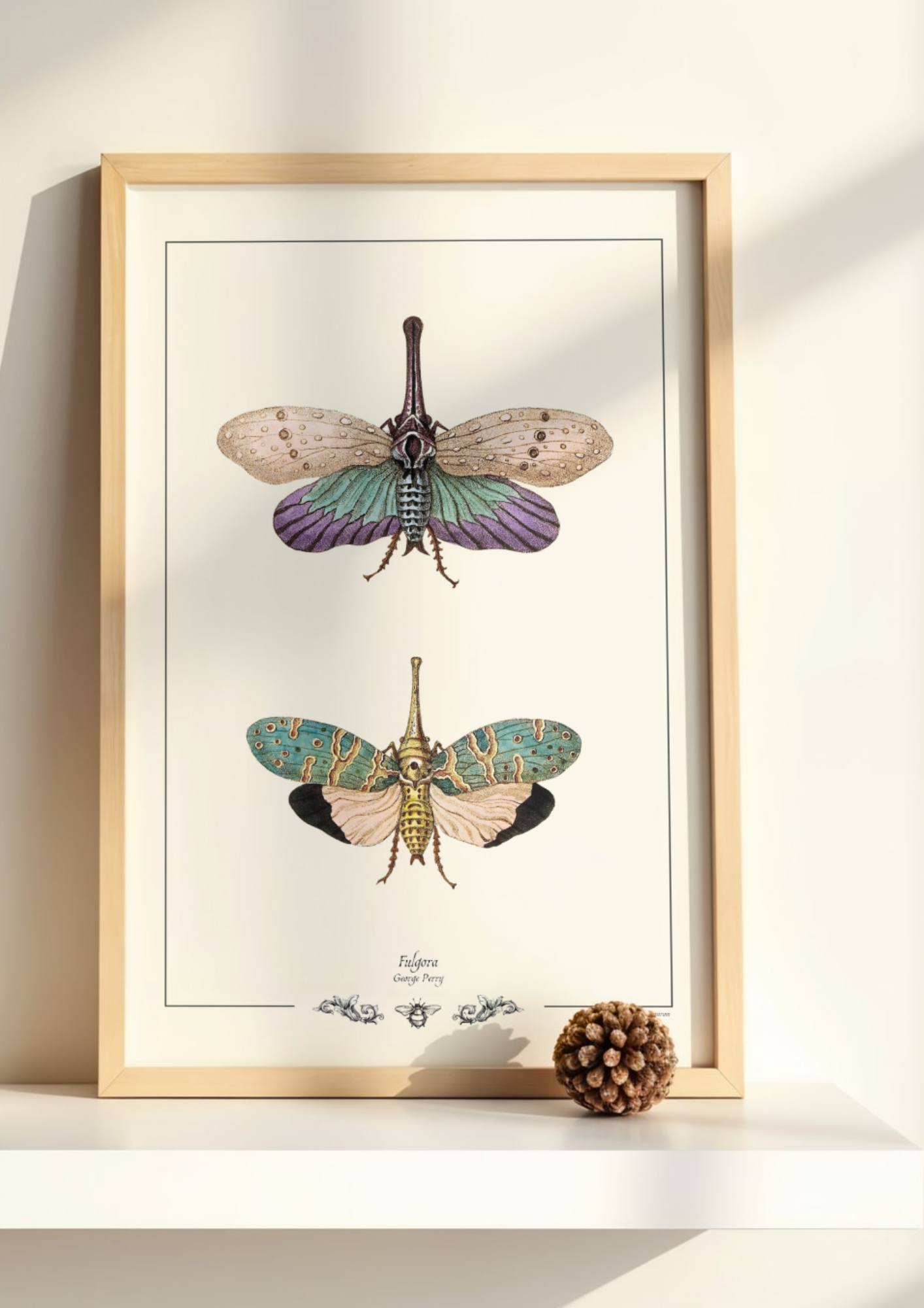 Fulgora George Perry