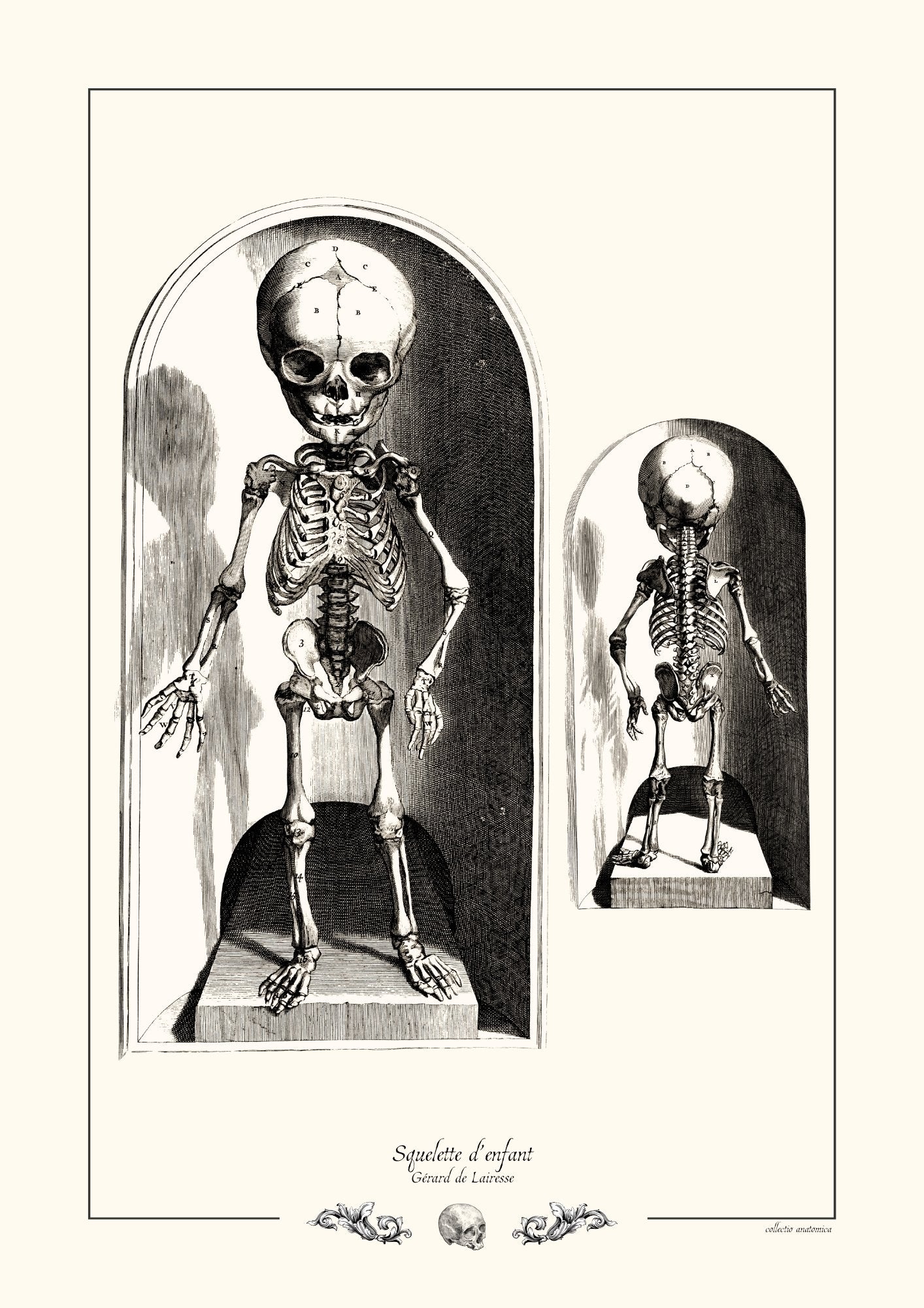 Squelette d’enfant
