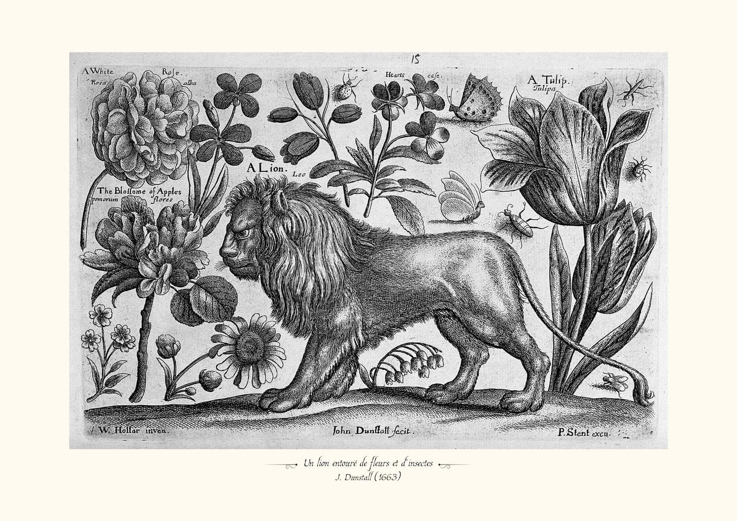Un lion entouré de fleurs et d'insectes