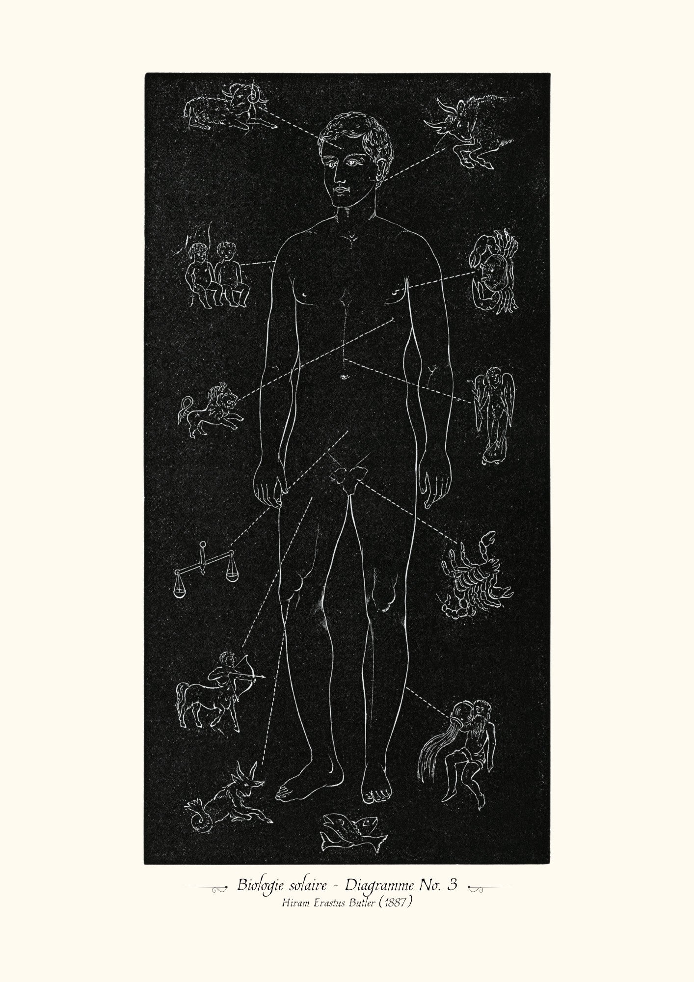 Biologie solaire - Diagramme No. 3