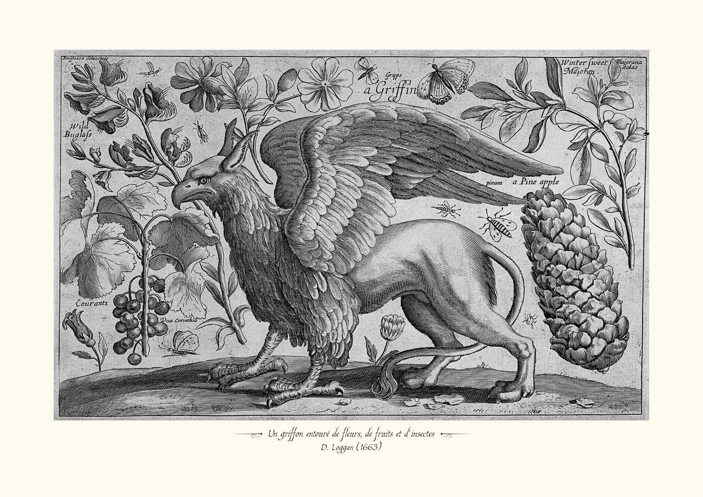 Un griffon entouré de fleurs