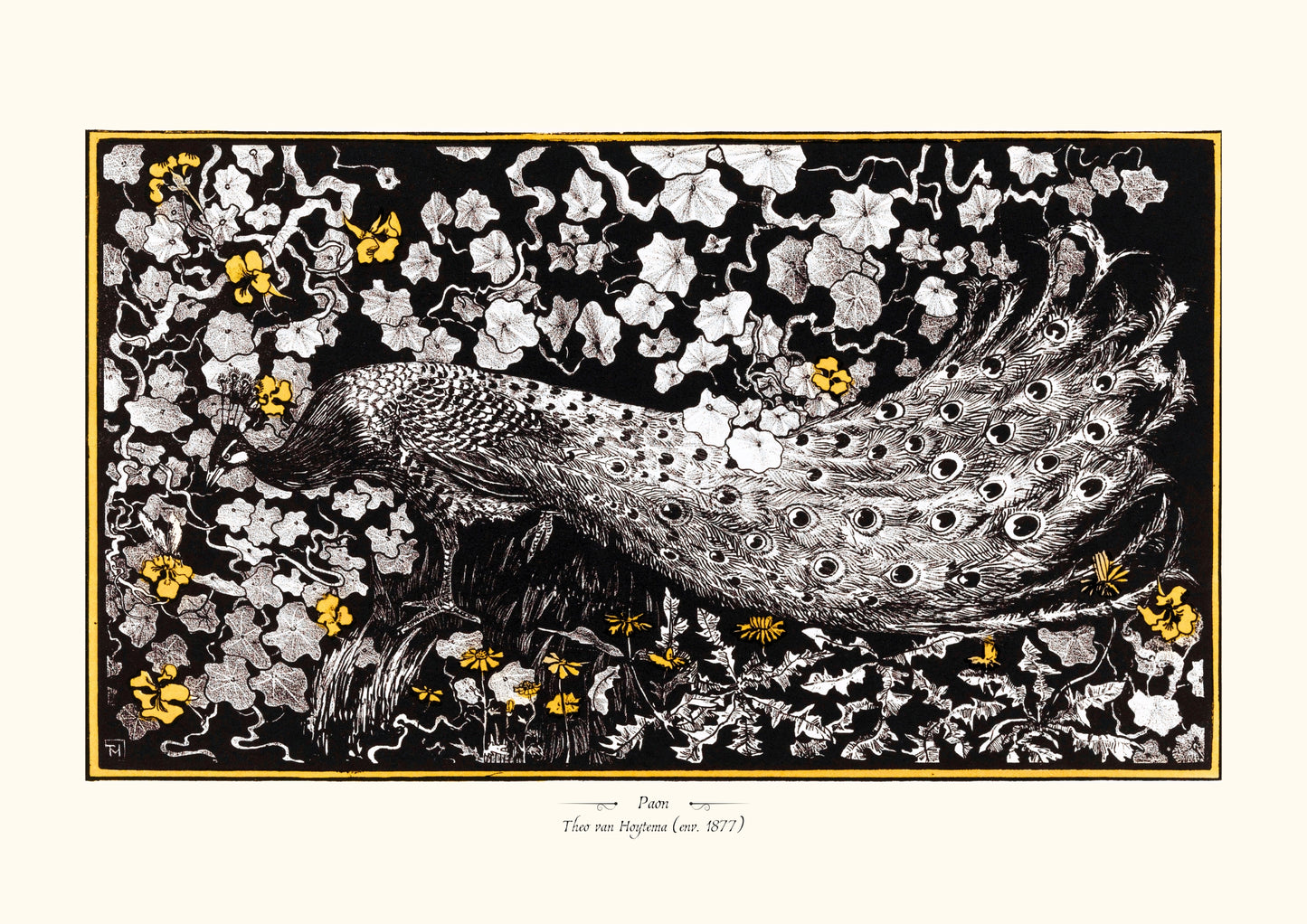 Paon de Theo van Hoytema