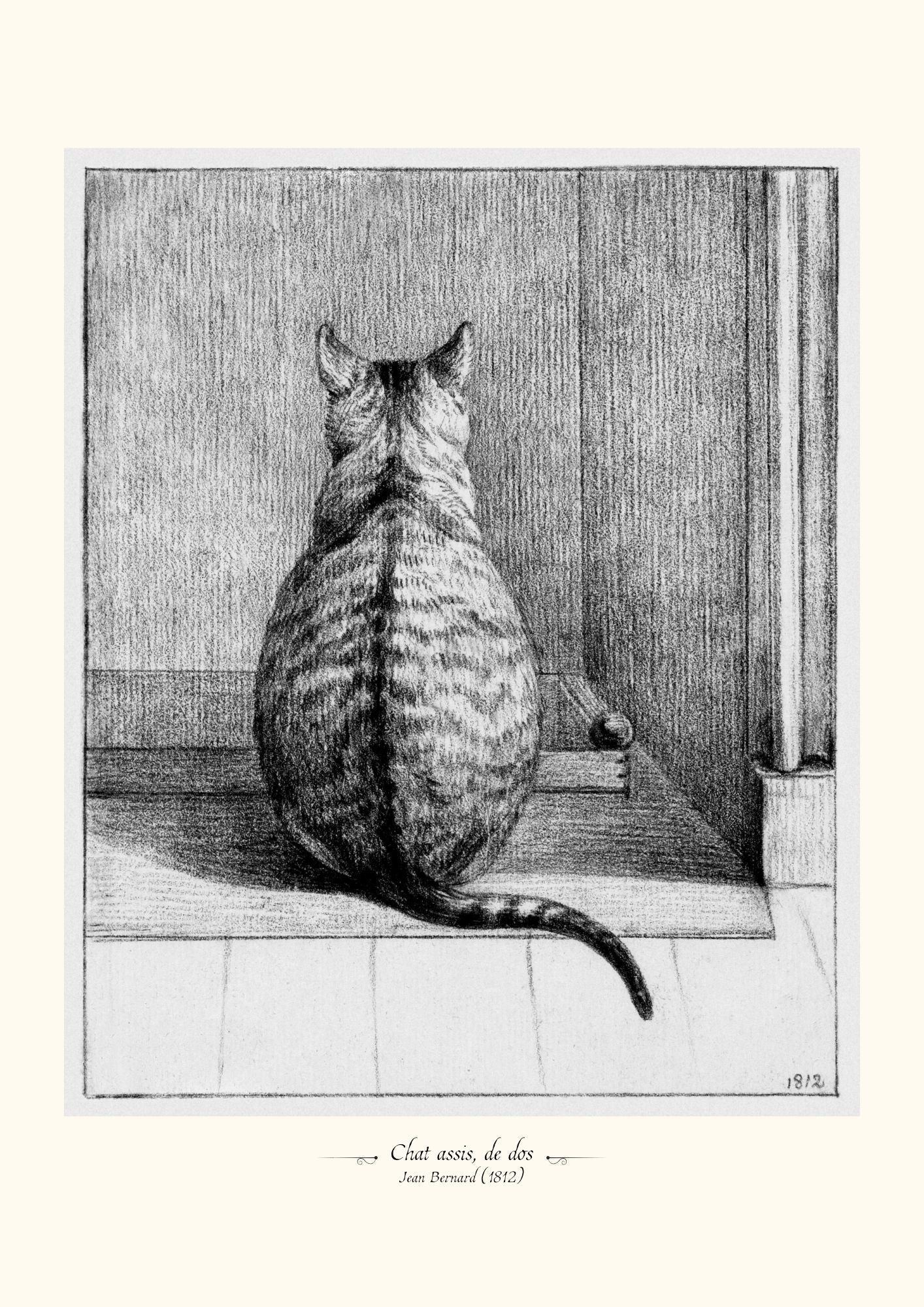 Chat assis, de dos