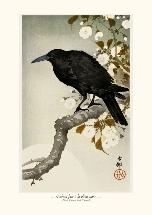 Corbeau face à la pleine Lune
