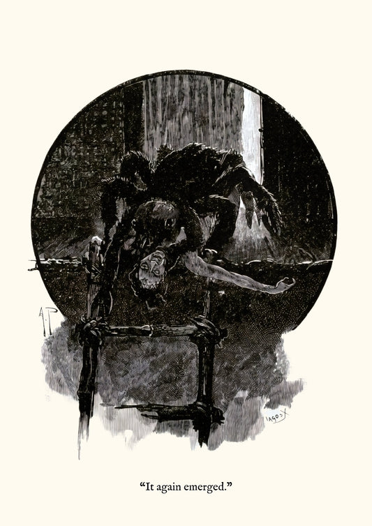 Arachnide - "It again emerged."