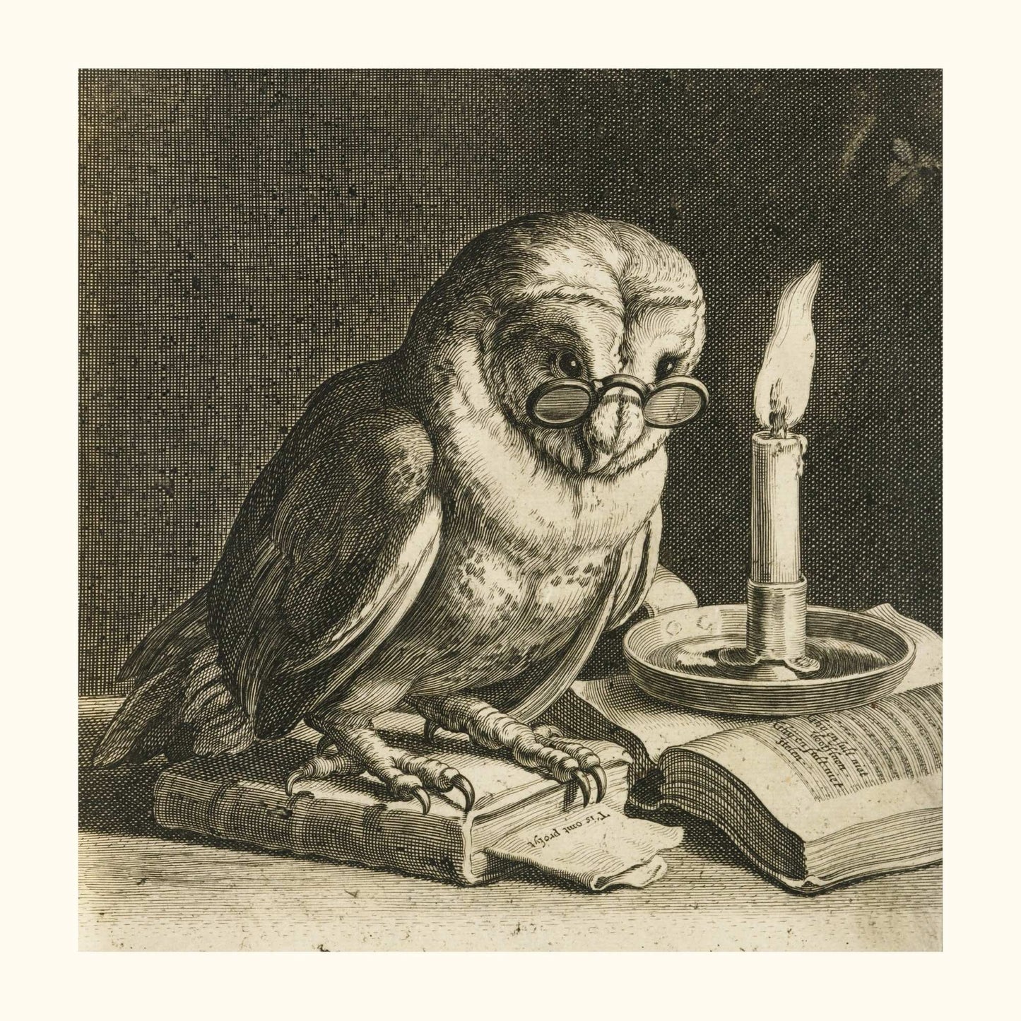 Chouette érudite