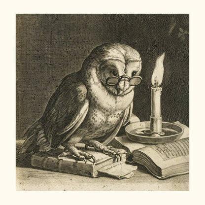 Chouette érudite