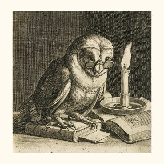 Chouette érudite