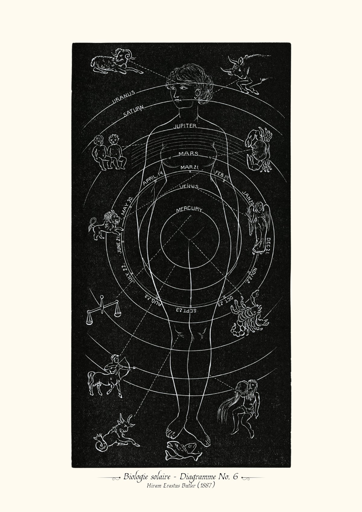 Biologie solaire - Diagramme No. 6