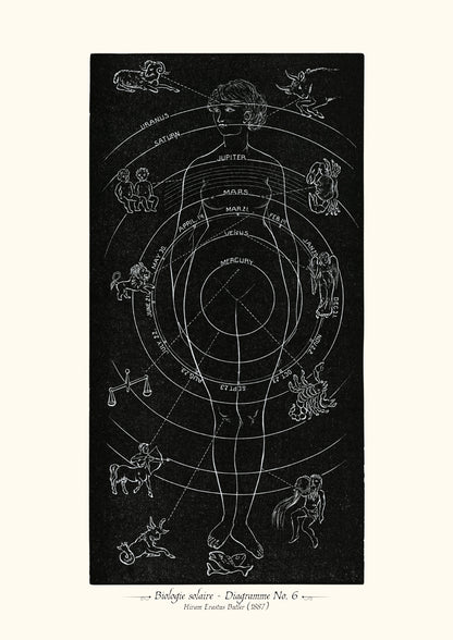 Biologie solaire - Diagramme No. 6