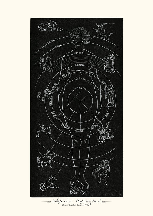 Biologie solaire - Diagramme No. 6