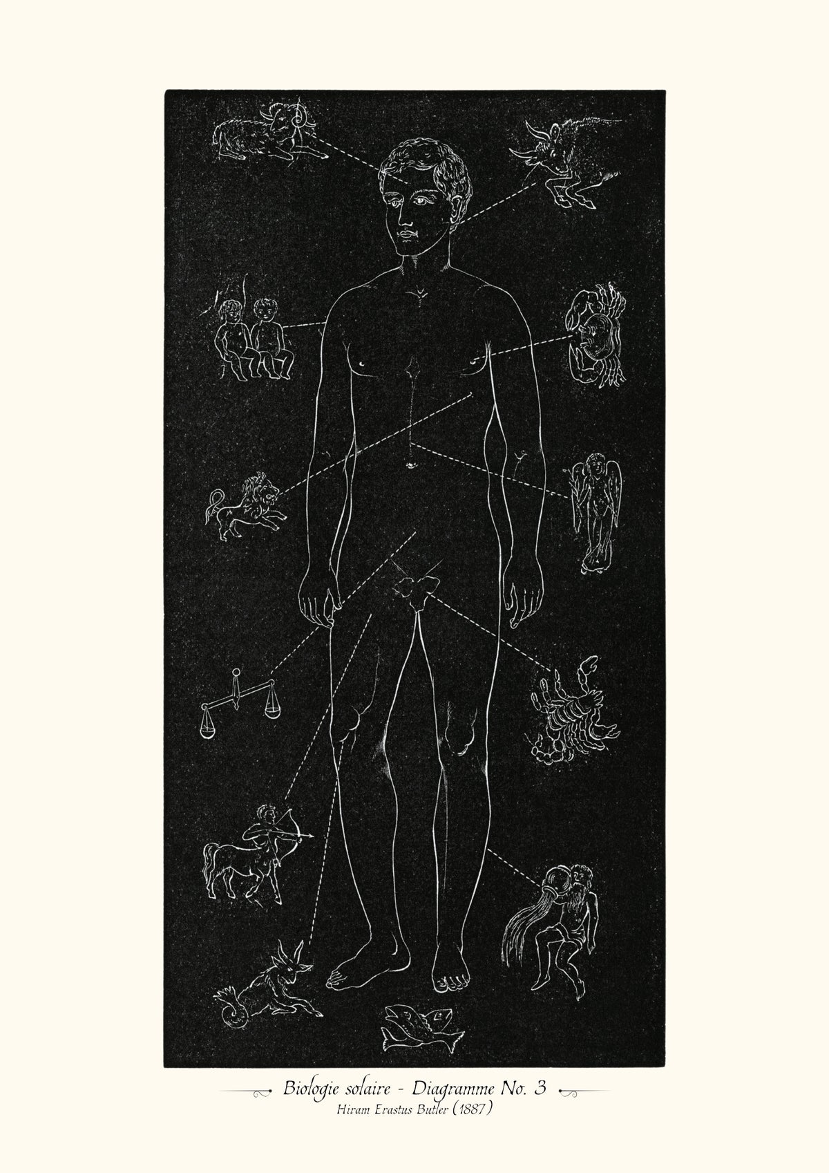 Biologie solaire - Diagramme No. 3