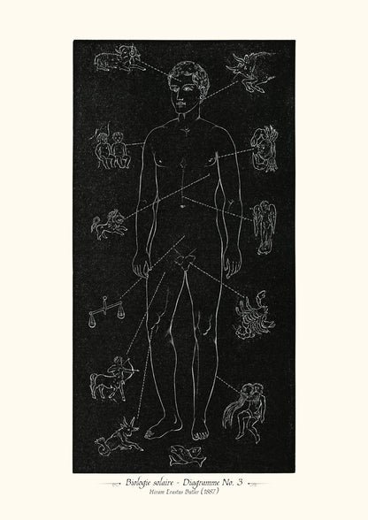 Biologie solaire - Diagramme No. 3