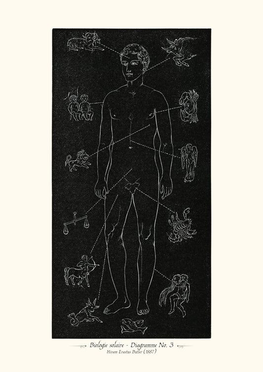 Biologie solaire - Diagramme No. 3