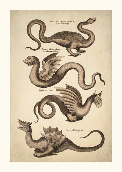 Dragons - Histoire naturelle des serpents