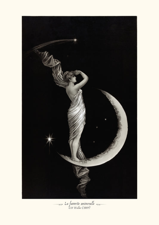 La favorite universelle