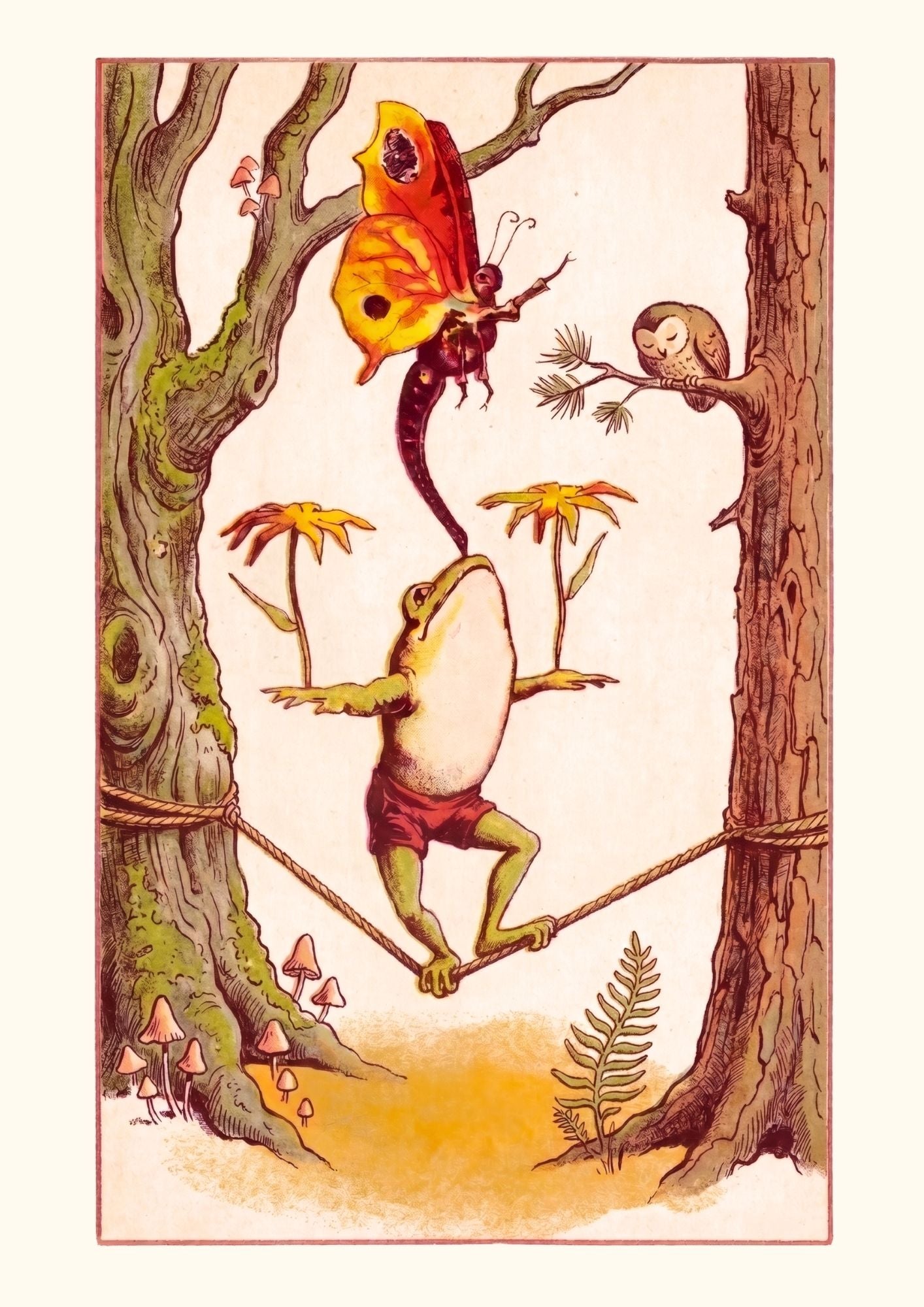 La grenouille funambule