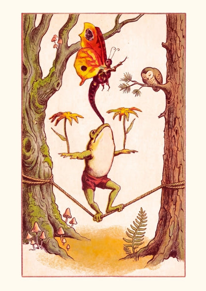 La grenouille funambule