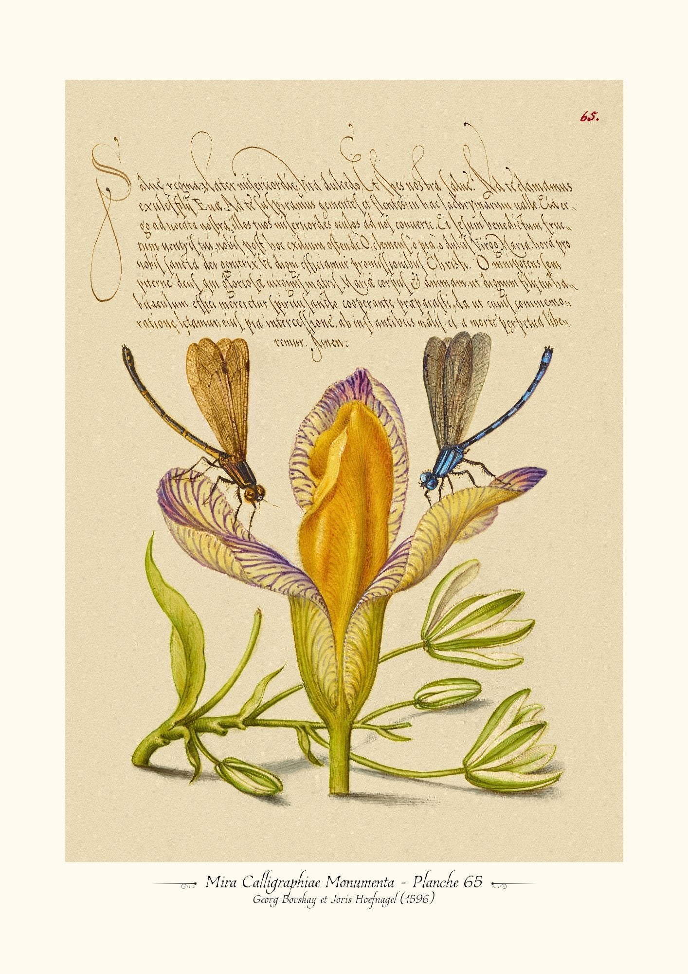 Mira Calligraphiae Monumenta - Planche 65