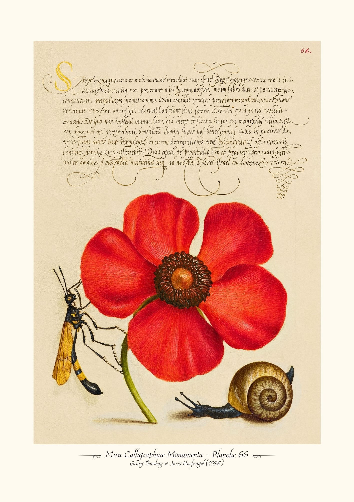 Mira Calligraphiae Monumenta - Planche 66