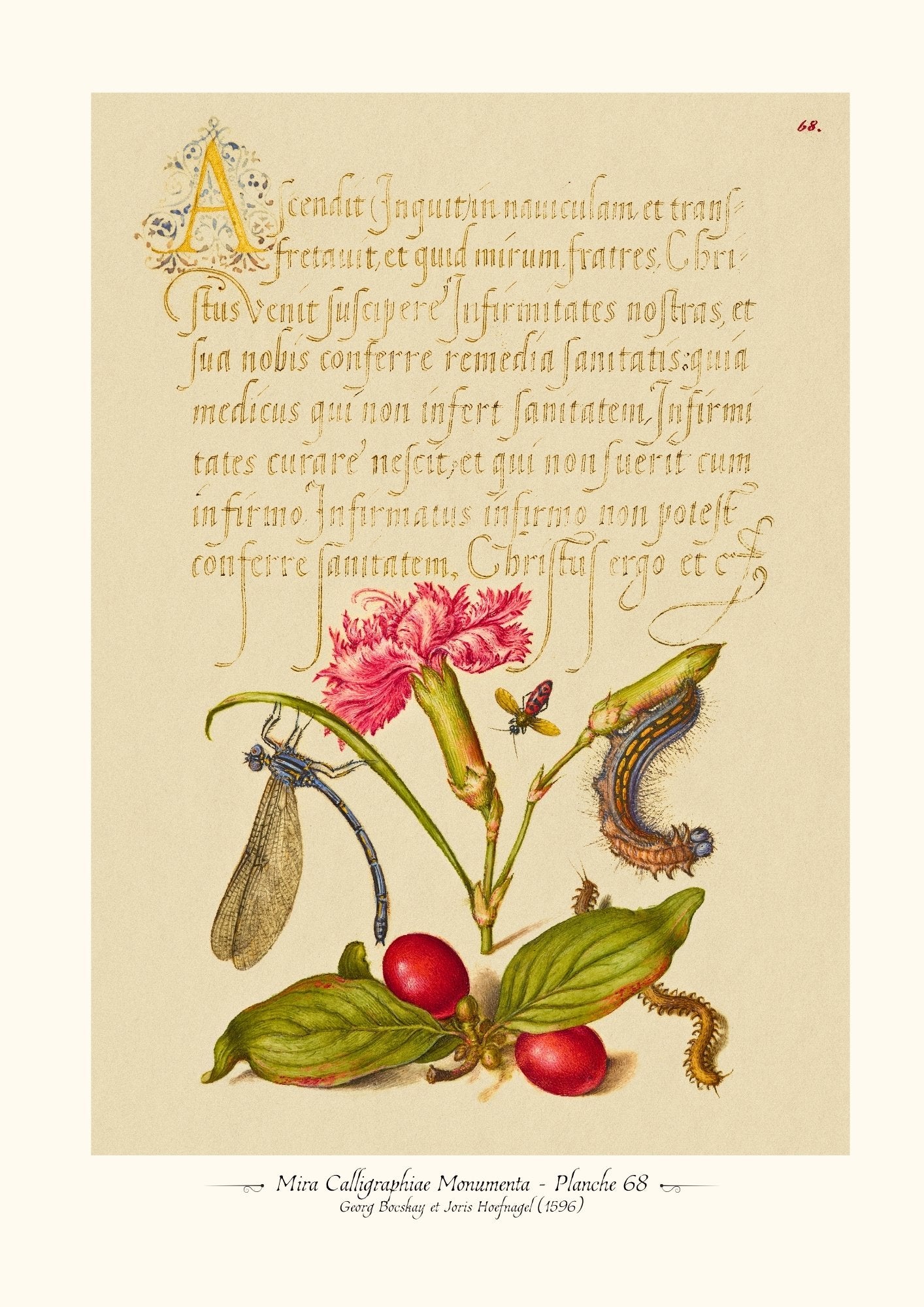 Mira Calligraphiae Monumenta - Planche 68