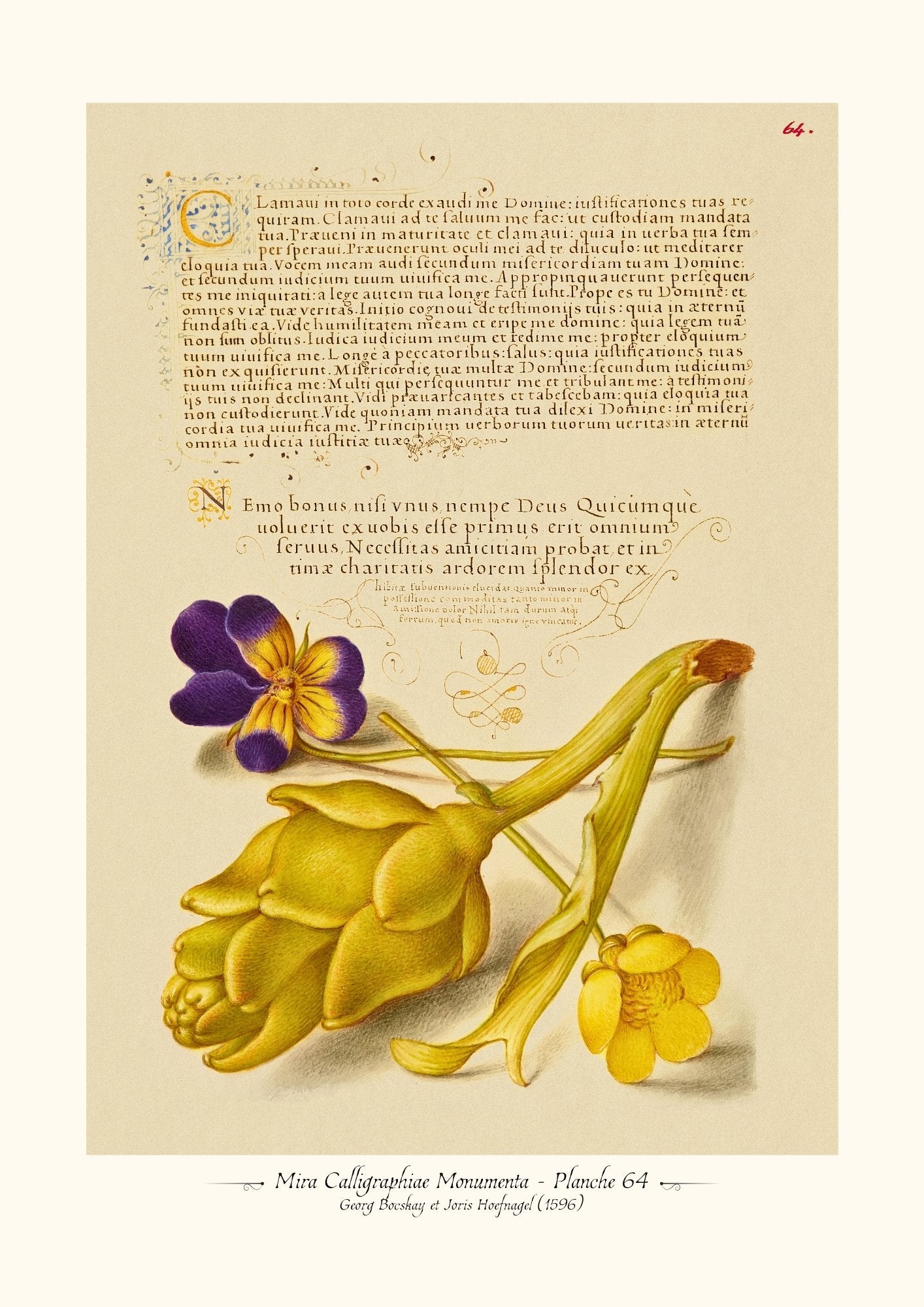 Mira Calligraphiae Monumenta - Planche 64