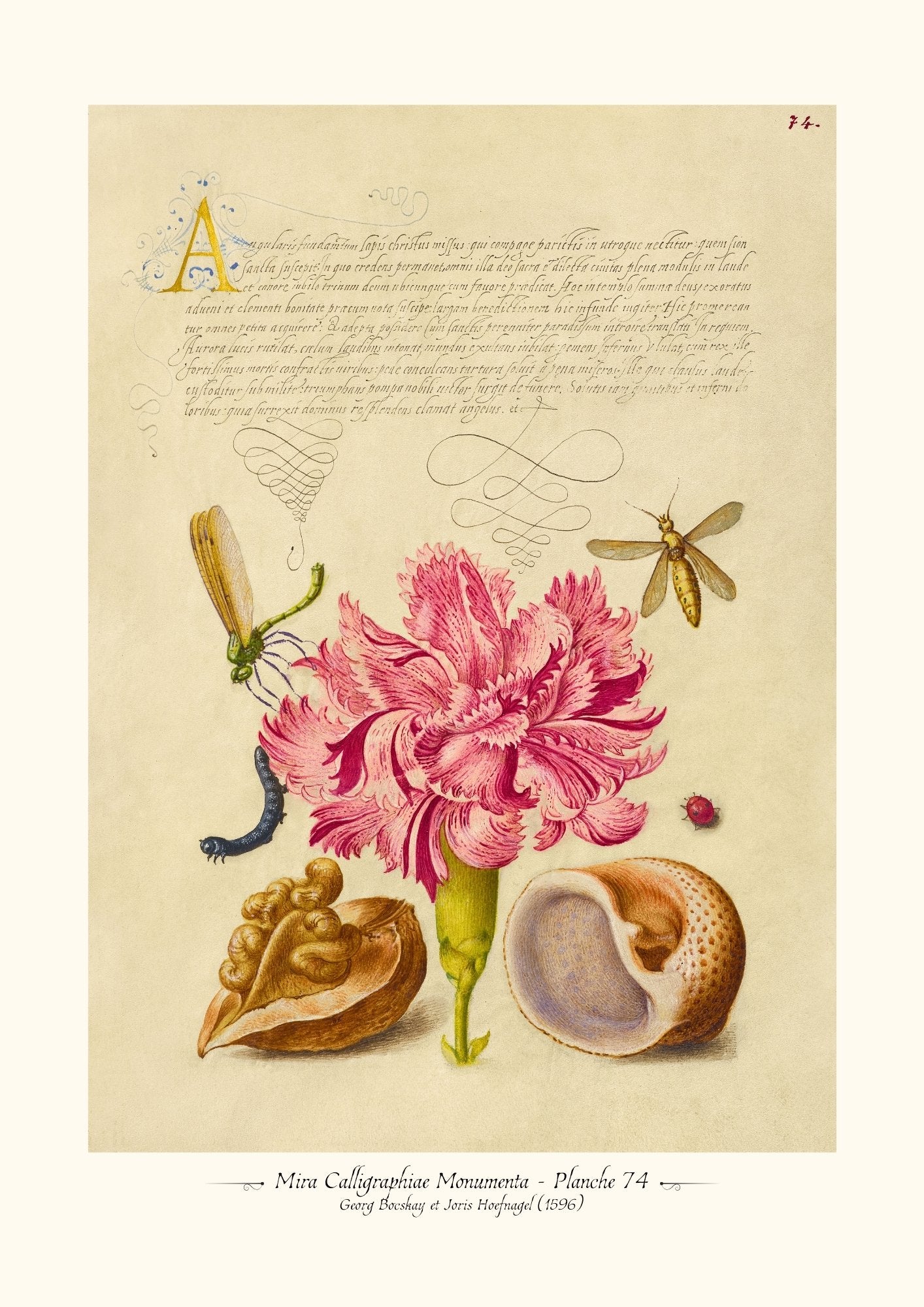 Mira Calligraphiae Monumenta - Planche 74