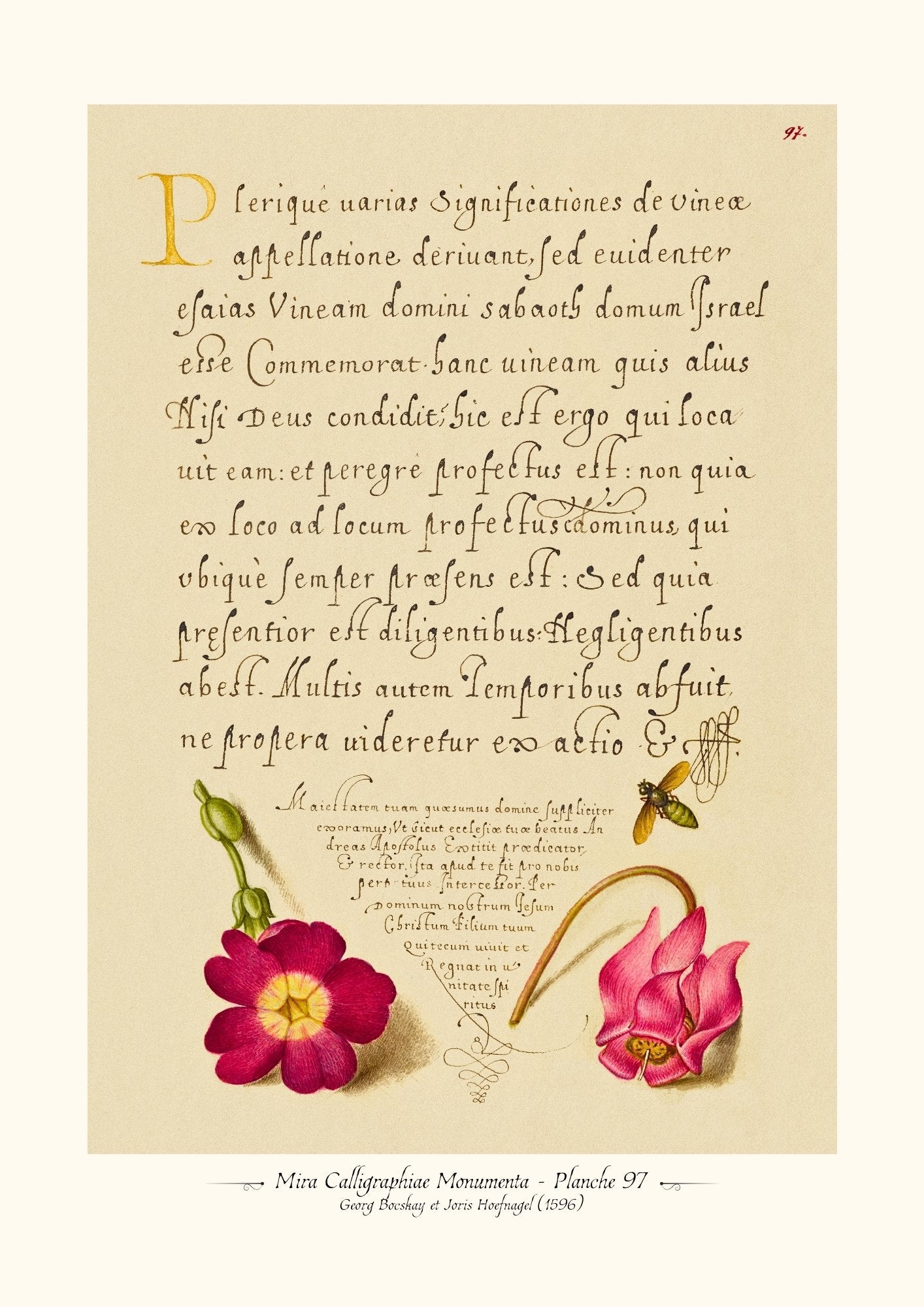 Mira Calligraphiae Monumenta - Planche 97