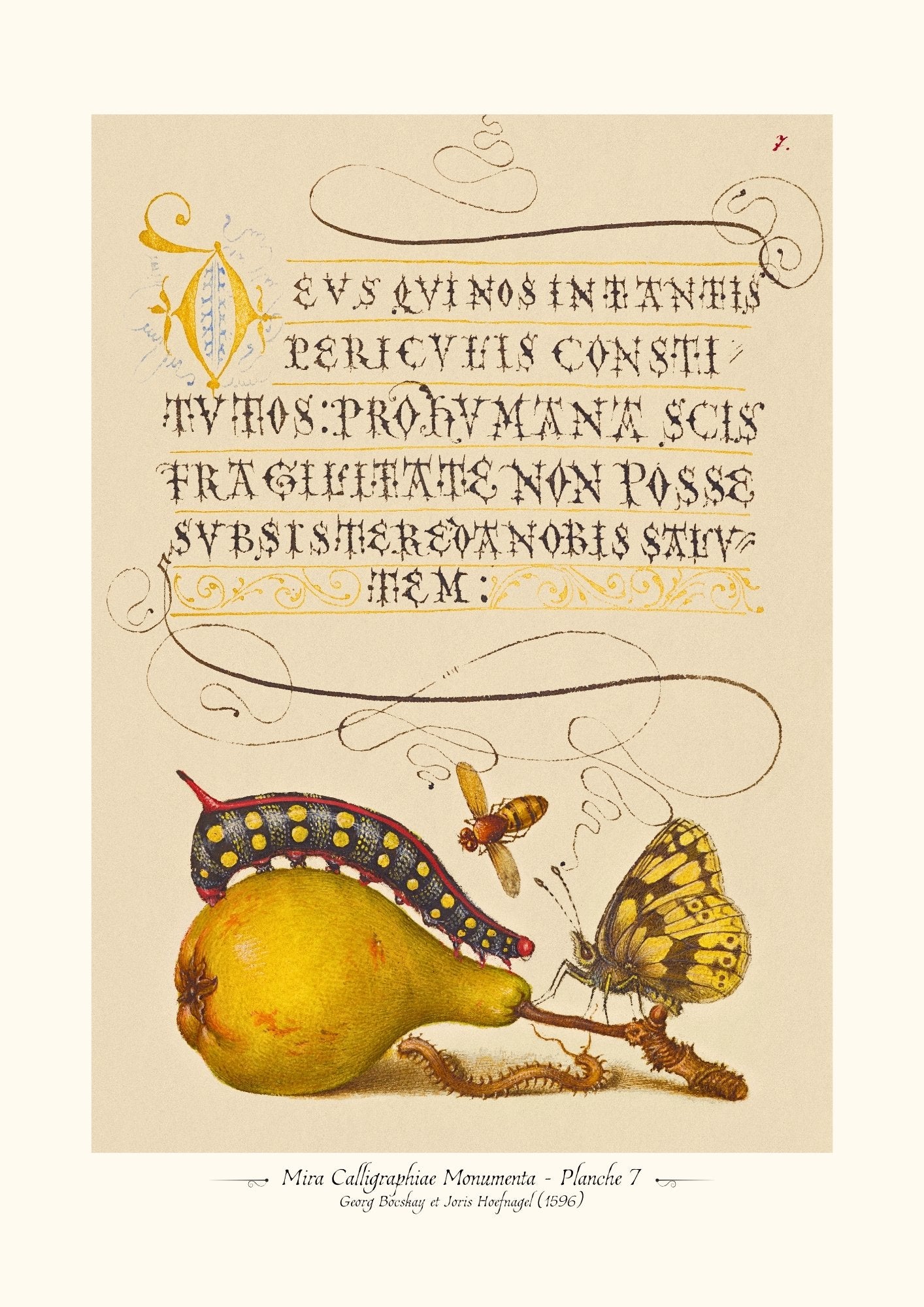 Mira Calligraphiae Monumenta - Planche 7