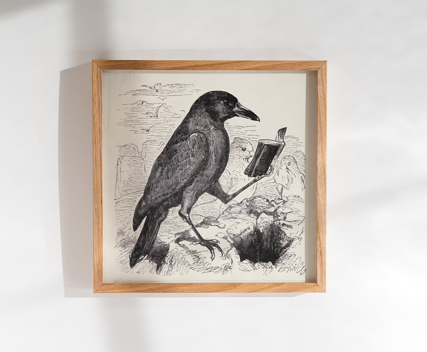 Corbeau érudit