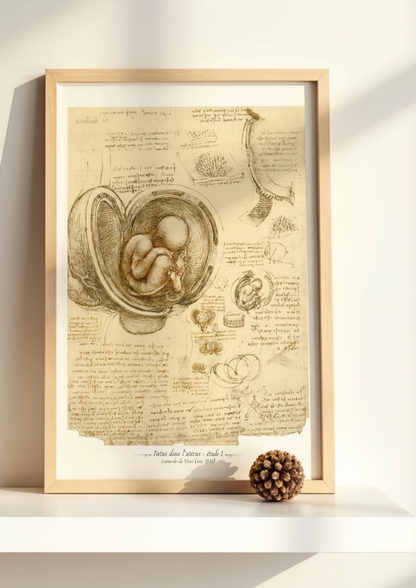 Fœtus dans l’utérus - De Vinci