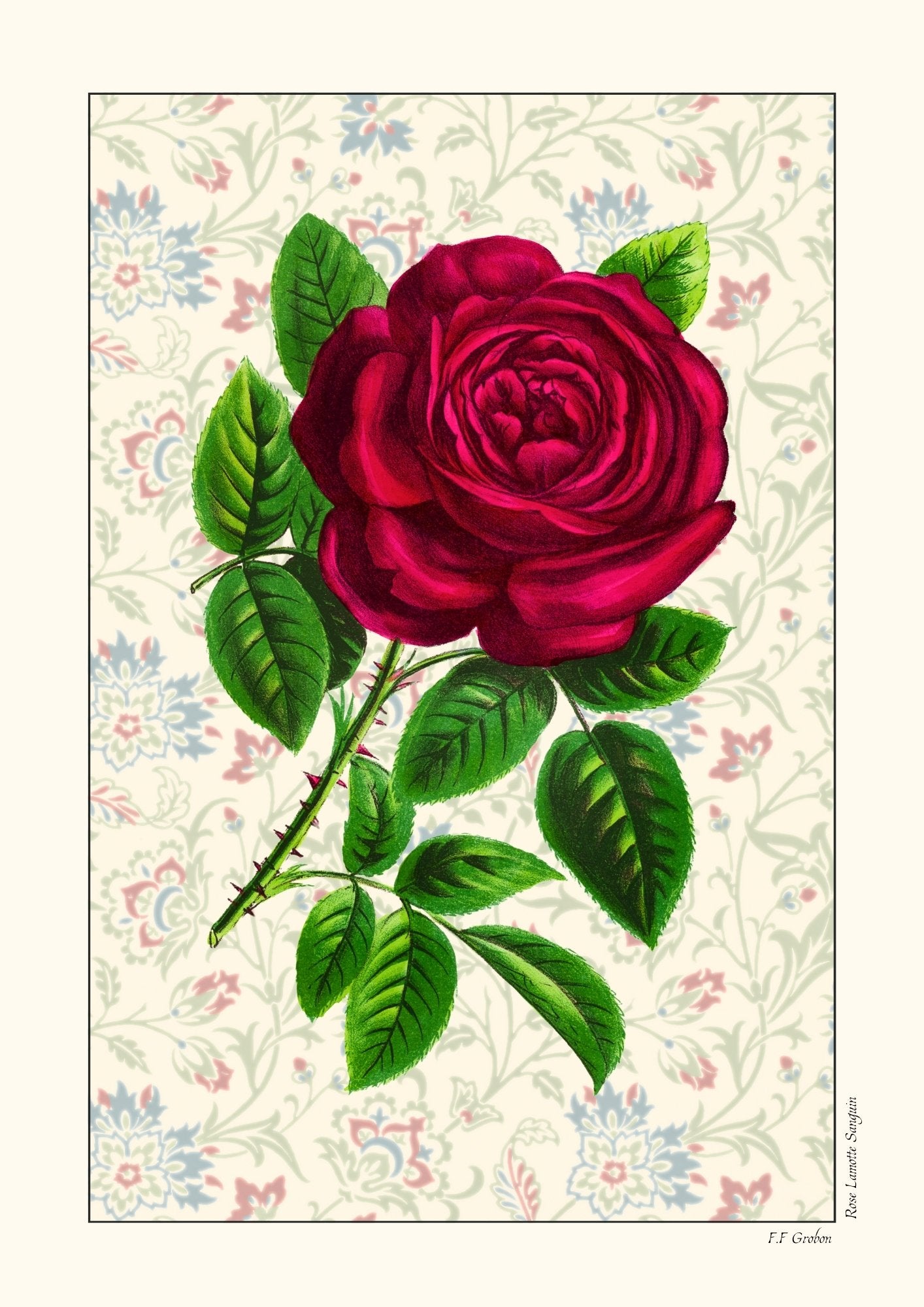 Rose Lamotte Sanguin - Version alternative