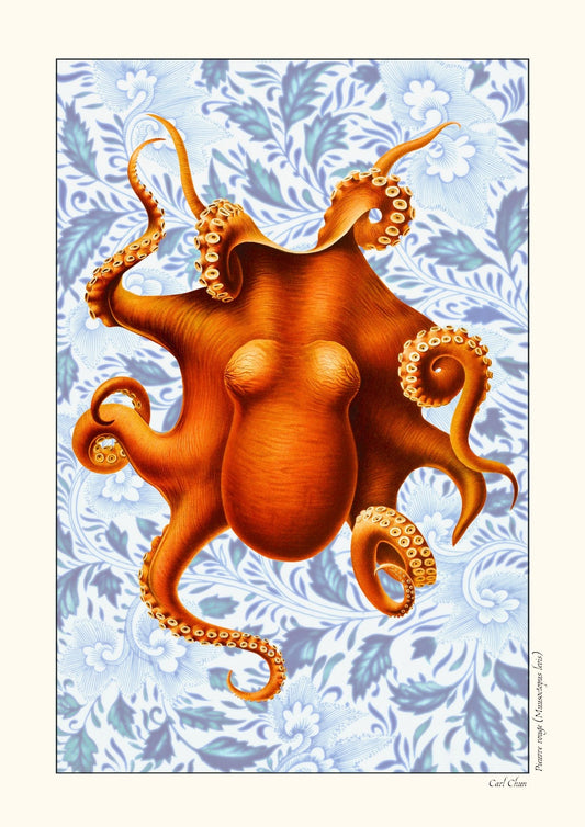 Pieuvre rouge - Version alternative