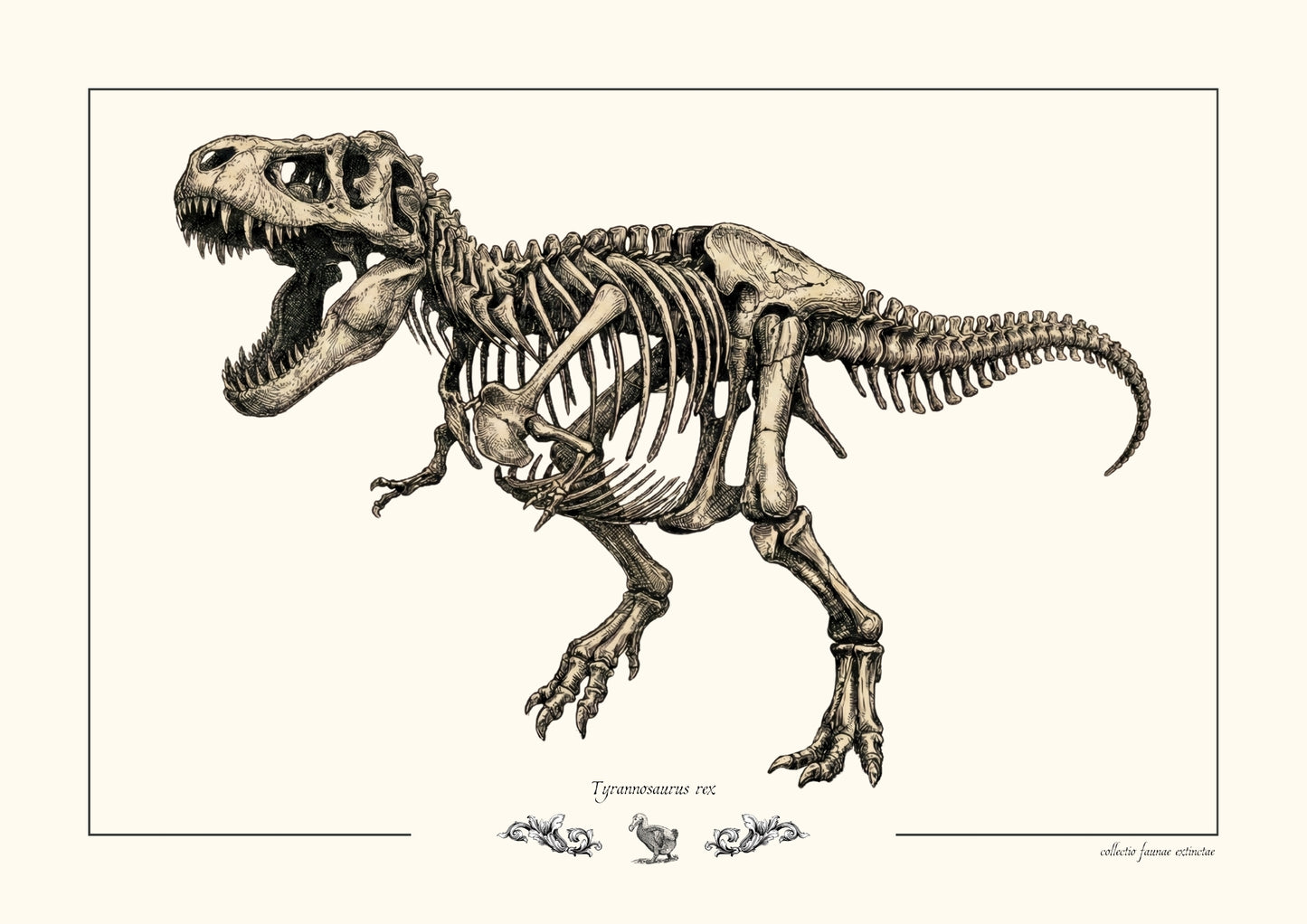 Tyrannosaurus rex