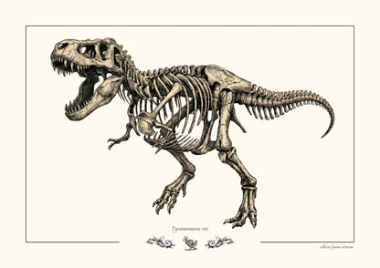 Tyrannosaurus rex