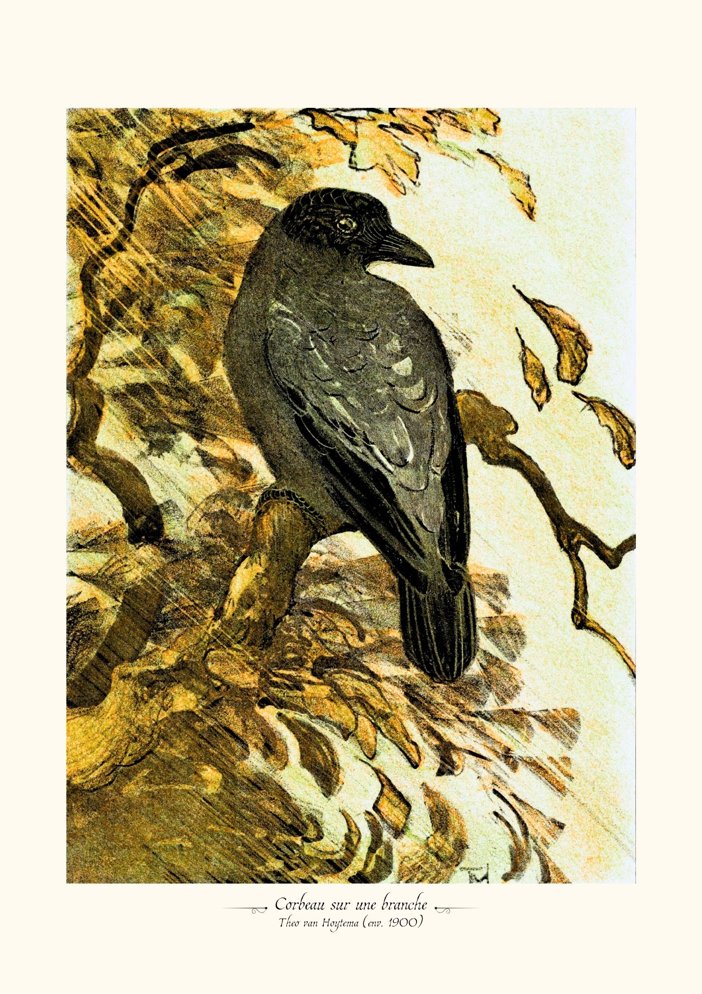 Corbeau sur une branche