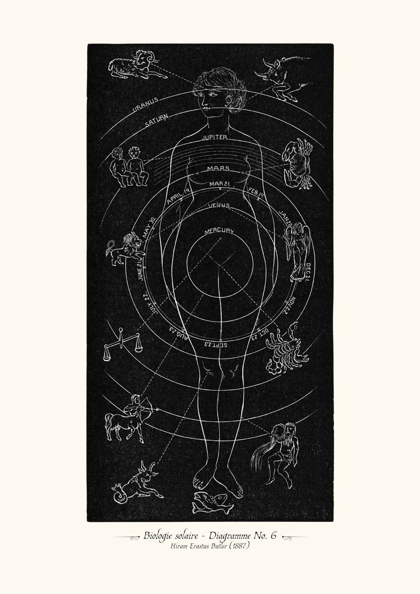 Biologie solaire - Diagramme No. 6