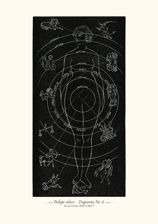 Biologie solaire - Diagramme No. 6