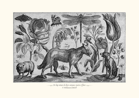Un loup entouré de divers animaux, insectes et fleurs