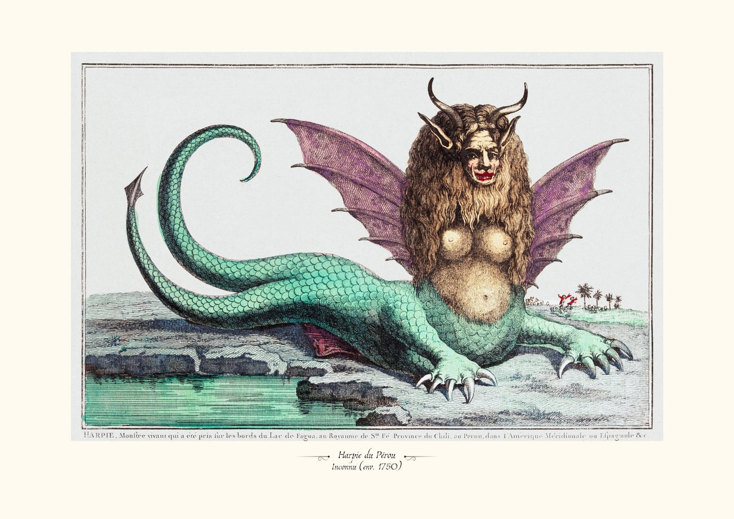 Harpie du Pérou