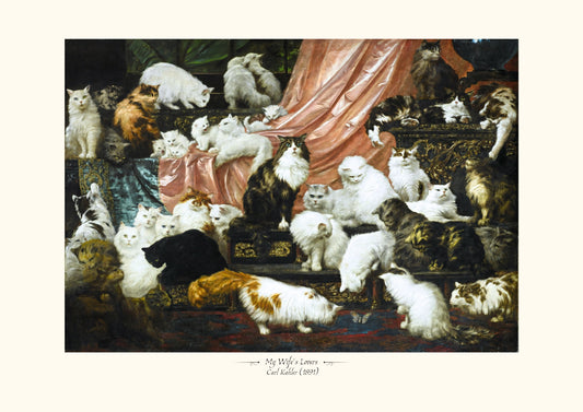 My wife's lovers (Les amants de ma femme)