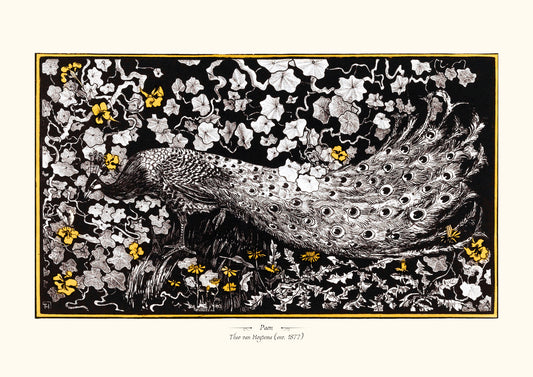 Paon de Theo van Hoytema